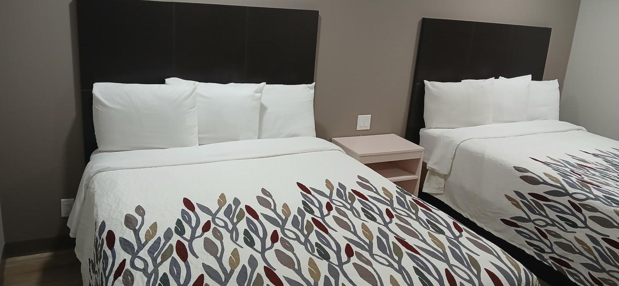 Red Roof Inn & Suites Euless - Dfw Airport Southwest Buitenkant foto