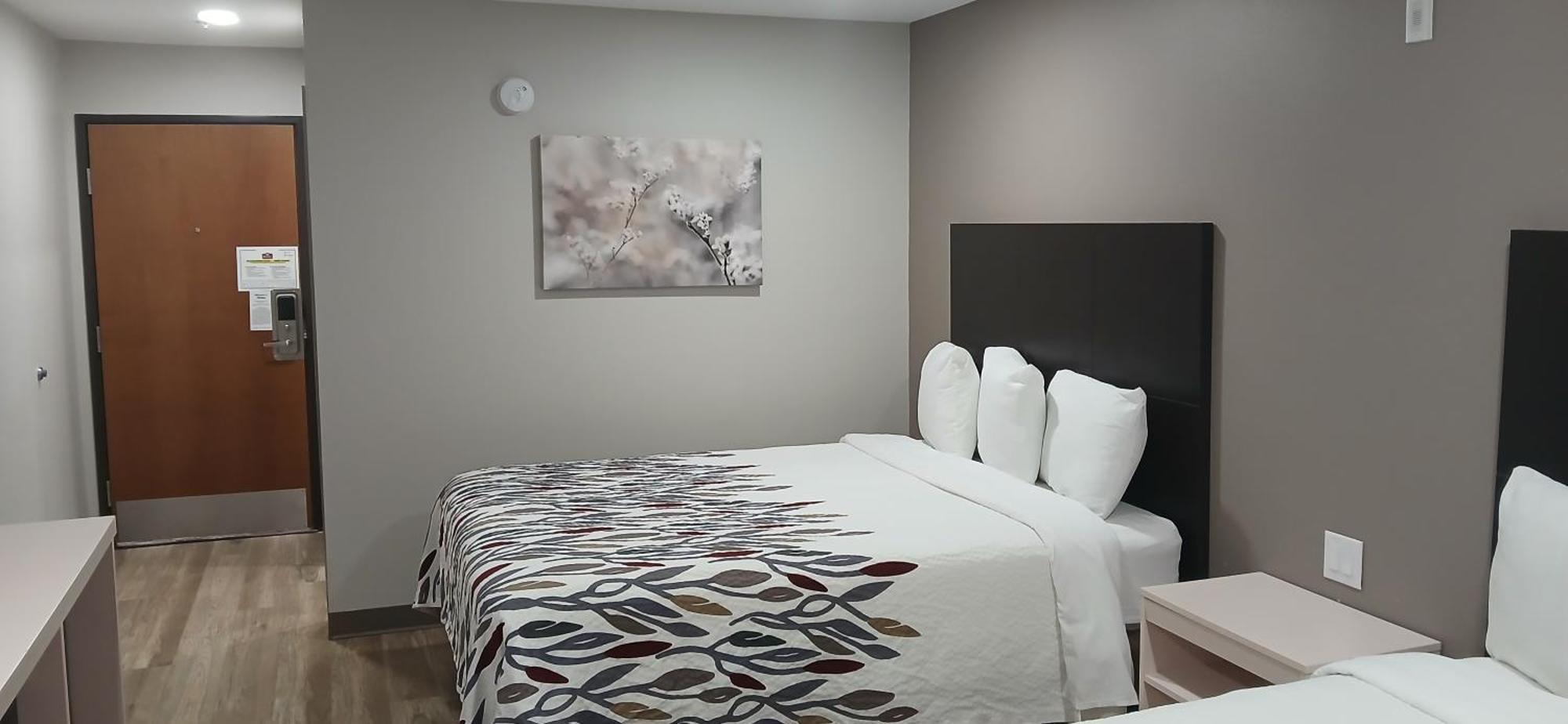 Red Roof Inn & Suites Euless - Dfw Airport Southwest Buitenkant foto